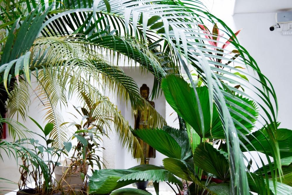 Hotel Zendero Tulum Kültér fotó